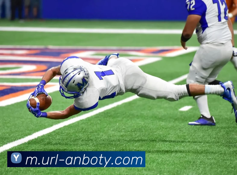 安博体育平台生态图